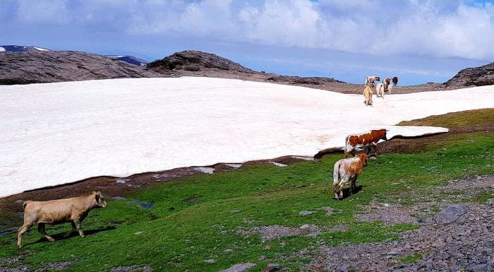 14161acf-5493-4495-b0a8-9bf470f22345